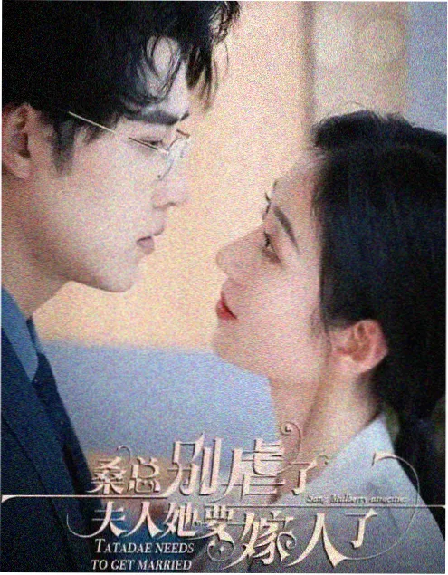治愈系动画片《猫咪事务所》